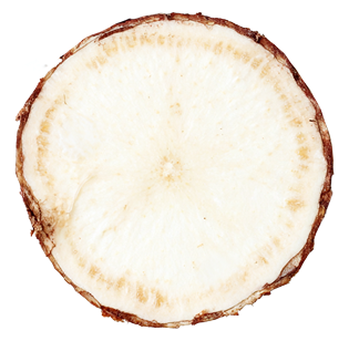 calhead2